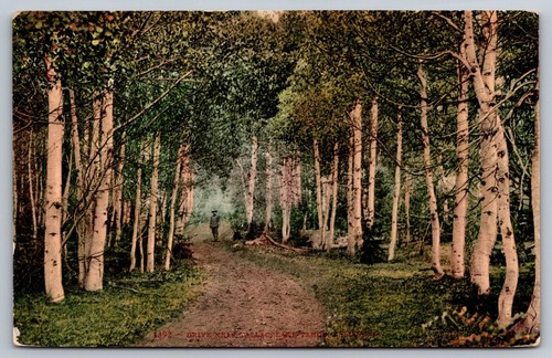 Cartolina epoca lake tahoe - lake,