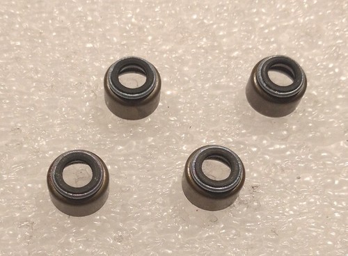 Paraolio valvole yamaha - paraolio, xt