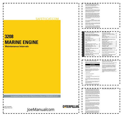 Programma manutenzione motore