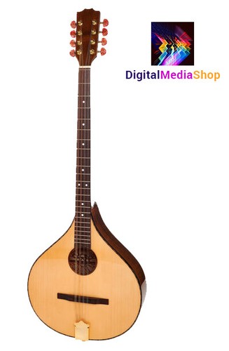 Concert irish bouzouki with - irish, eq