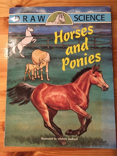 Horses and ponies - horses,