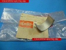 BRONZINA GIALLA contro ALBERO