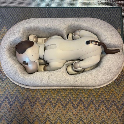 Sony aibo ers - sony,
