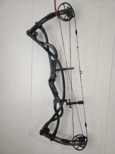 Hoyt carbon matrix - hoyt, compound
