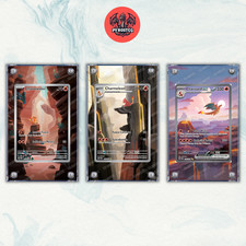 Pokémon x3 Teca Magnetica