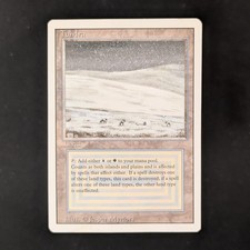 MTG \\>> Tundra (PO) <<//
