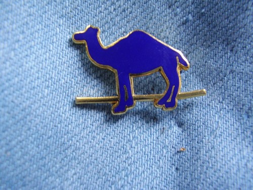 Spilla camel sigarette - spilla,