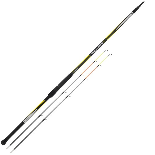 Canna tubertini sylan - canna,