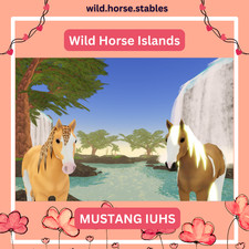 Wild horse islands - horse, mustang
