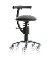 Sedia ergonomica Spinalis