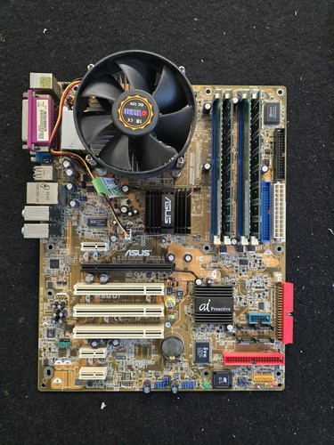Scheda madre asus - madre, lga
