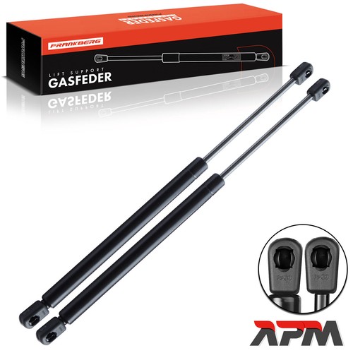 Gas ammortizzatore lunotto - 2x,
