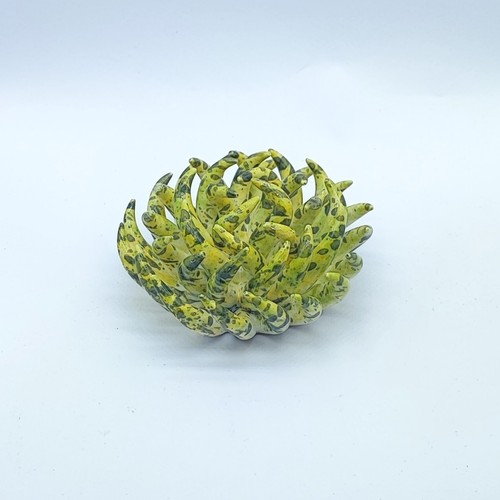Ricci mare ceramica - di, di