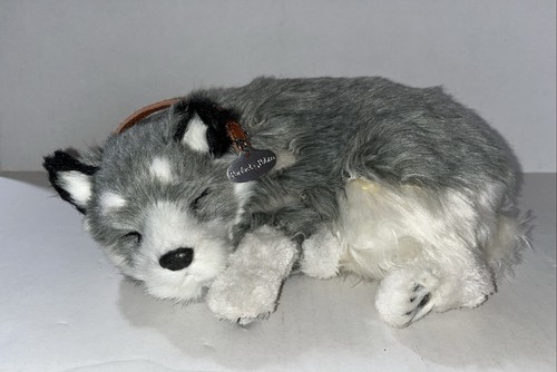 Peluche petzzz alaskan - petzzz,