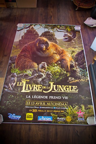 Jungle book french shelter - a,