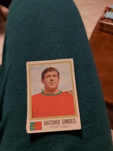 Figurina panini nuova mondiali - panini,