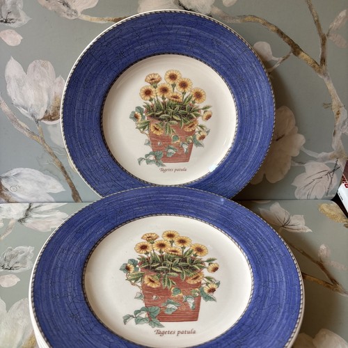 Piatti insalata wedgwood - piatti,