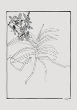 JONAS WOOD x Nieves '21