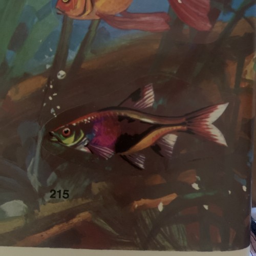 Figurina 215 mondo degli - figurina, il