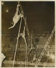 Circo Acrobati Artisti Su