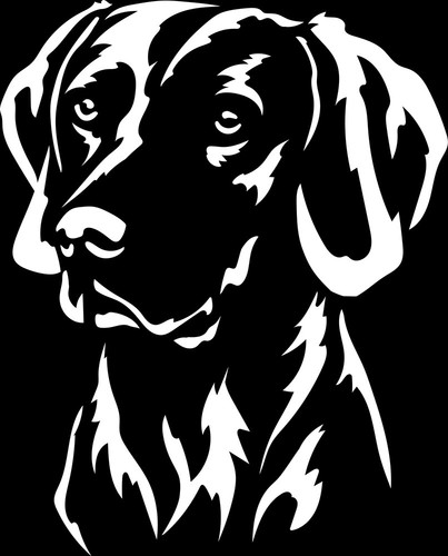 Adesivo weimaraner - adesivo,