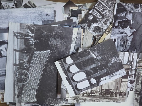 Fotografie riproduzioni - ,
