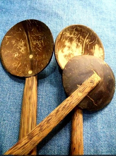 Cucchiaio cocco ecologico
