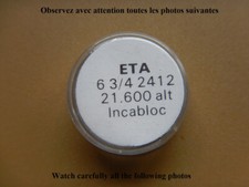 BALANCIER COMPLET INCABLOC