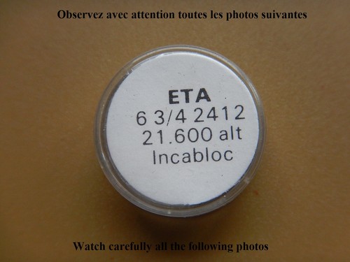 Balancier complet incabloc - balancier,
