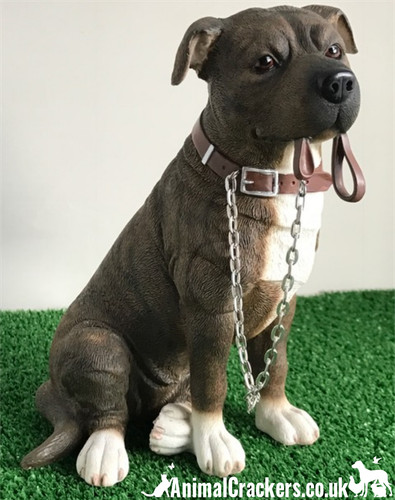 Staffordshire bull terrier - staffordshire,