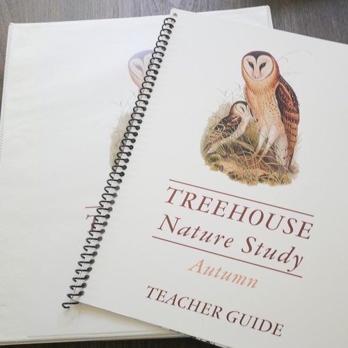 Treehouse schoolhouse - treehouse,