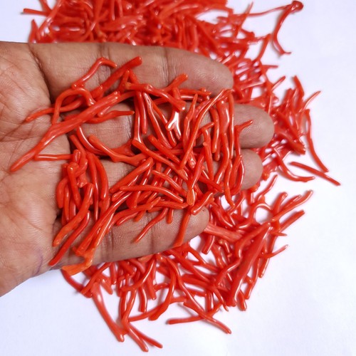 Ramo corallo rosso - ramo,