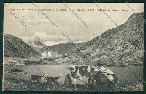Aosta gran san - gran, bernardo