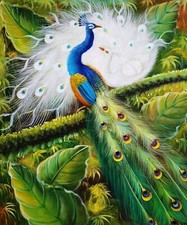 Due pavoni -#2, dipinto olio su tela dipinto a mano 24x20