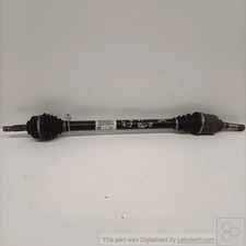 9801611280 Semialbero ant