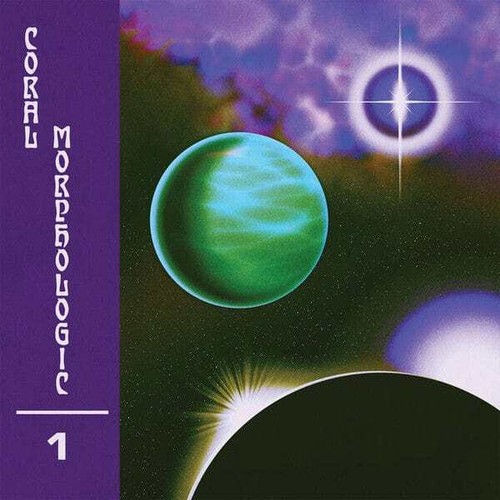 Coral morphologic - morphologic,