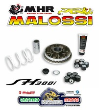 Variatore completo malossi - variatore,