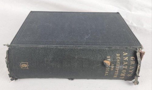 1878 gray anatomy - gray's,