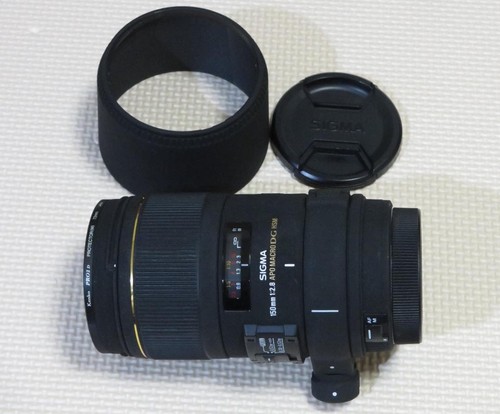 Sigma 150mm apo macro - f2.8,
