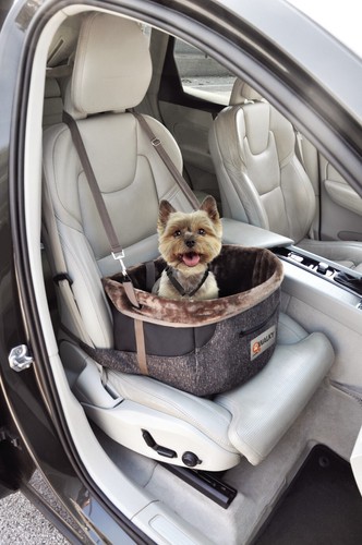 Camon walky pet drive box - camon,
