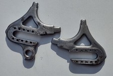 Forcellini Posteriori