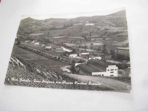 Alessandria alice bel colle - alice,