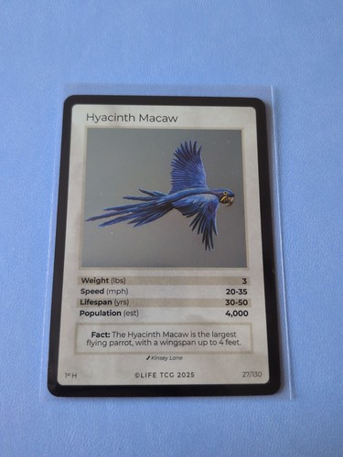 Life tcg birds - life,