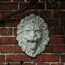 Testa di leone leone