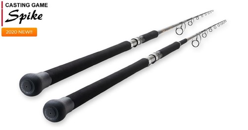 Tenryu rod ragno - rod,