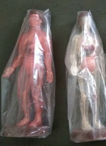 Modellini anatomici completi - 2,