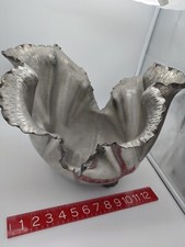 Peltro Italy Bowl Clam Shell