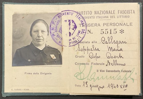 Belluno pnf gil - pnf,