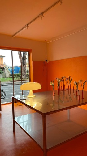 Tavolo pranzo - tavolo,