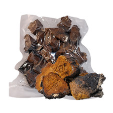 Wild Chaga Chunks Inonotus Obliquus essiccato grezzo sottovuoto sigillato